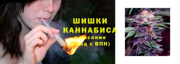 СК Володарск