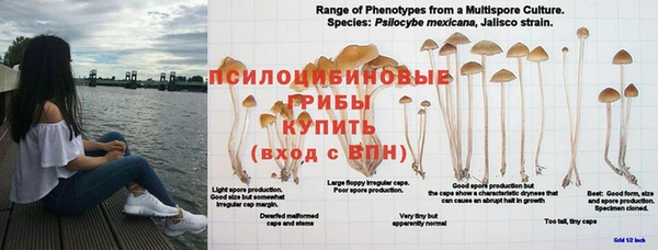СК Володарск
